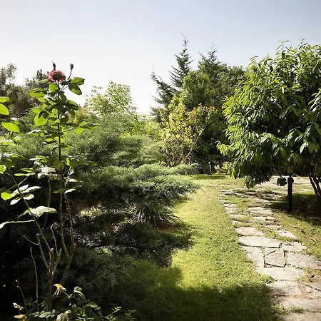 Апартаменты The Camlica